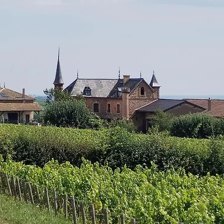 Le Petit Chateau De Sathonat - Horizon Paradis Saint-Amour-Bellevue Exterior foto